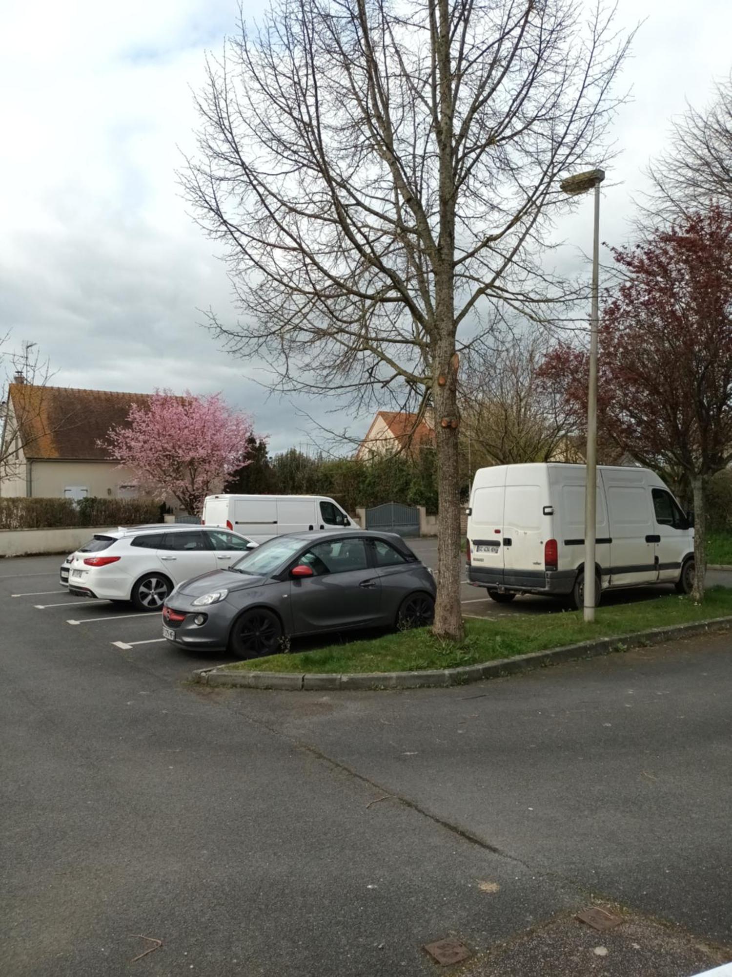 Appartement Tout Confort Le Fresne-Camilly Esterno foto