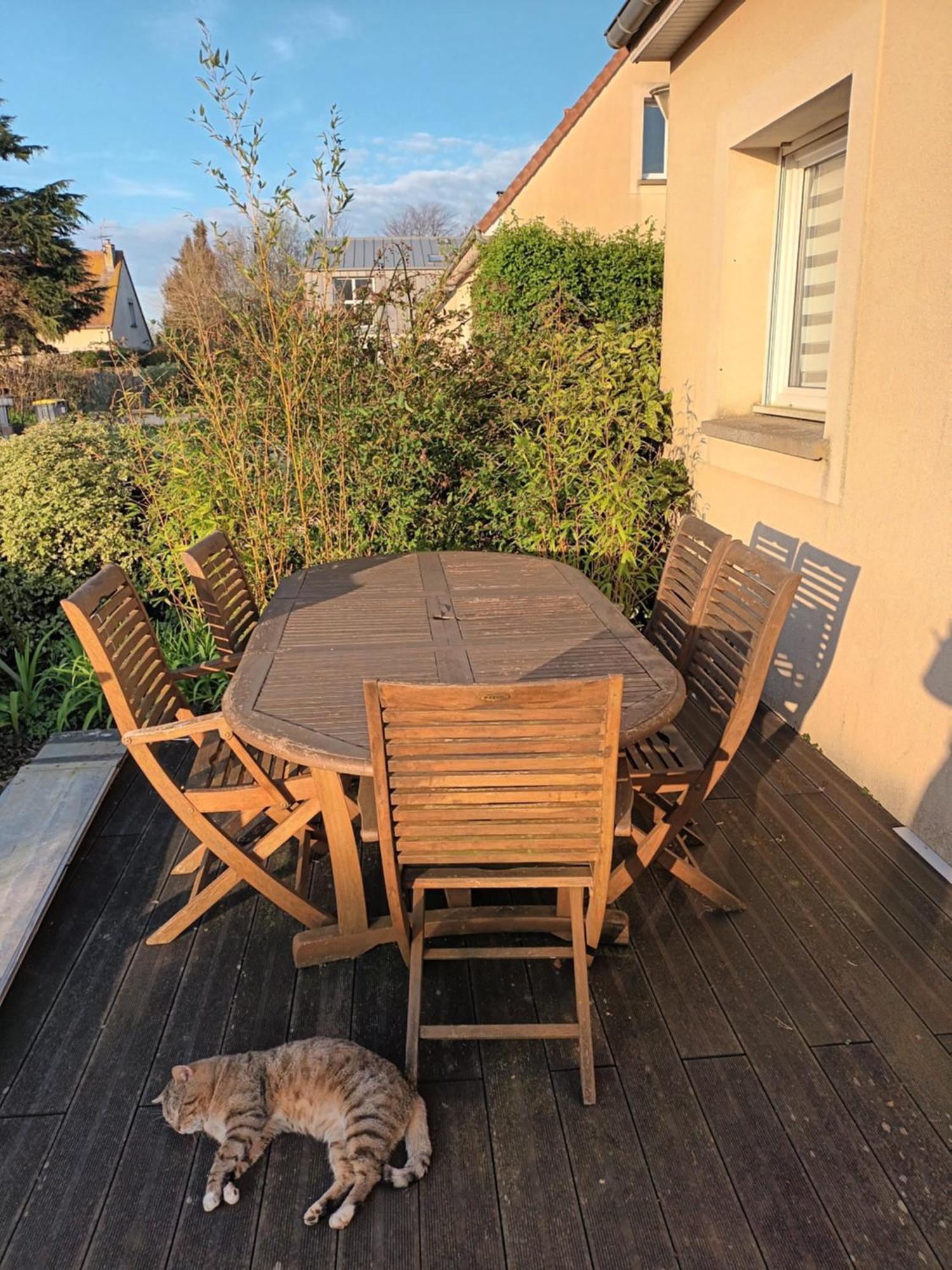 Appartement Tout Confort Le Fresne-Camilly Esterno foto